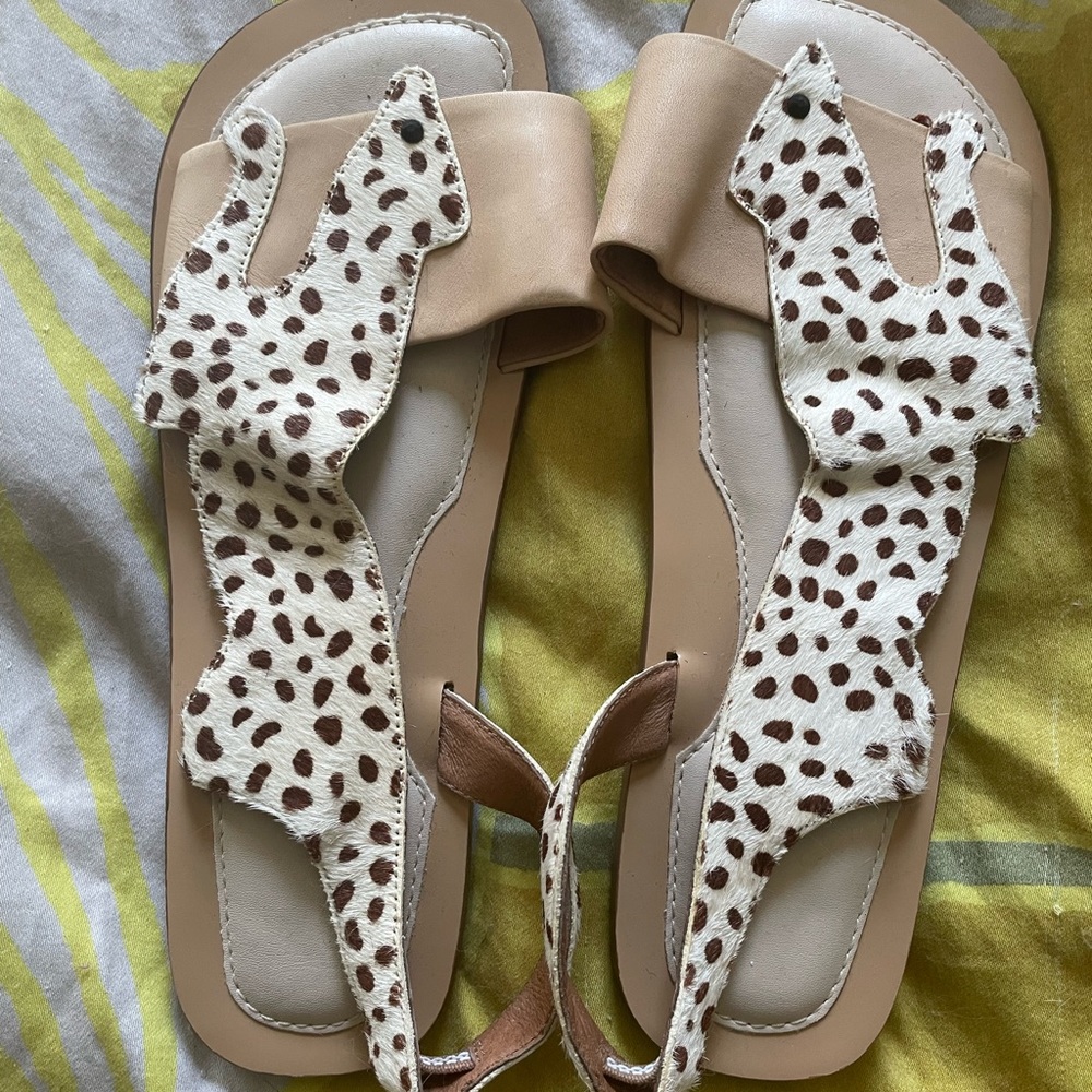 Wildcat sandals